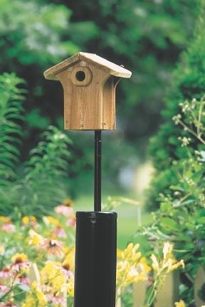 Nesting Box / Bird House