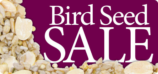 bird food on sale