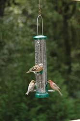 Quick-Clean Seed Tube Feeders