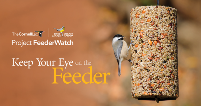 Project Feeder Watch